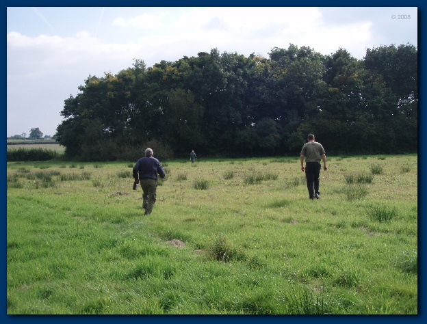 600x449 pixels (135K)